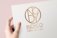 Indygo logo