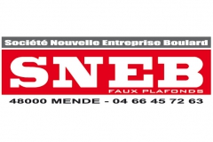 SNEB logo