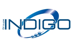 indigo logo