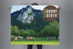 Saveur Lozère banderole