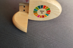 DDT clé usb