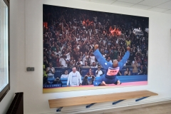 A2LFS montrodat toile tendue teddy riner 2