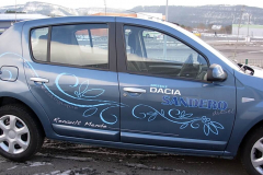 Personnalisation dacia sandero