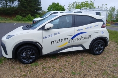 Mauirin immobilier BYD dolphin